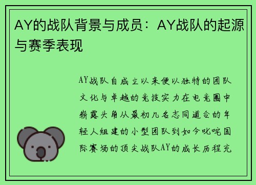 AY的战队背景与成员：AY战队的起源与赛季表现